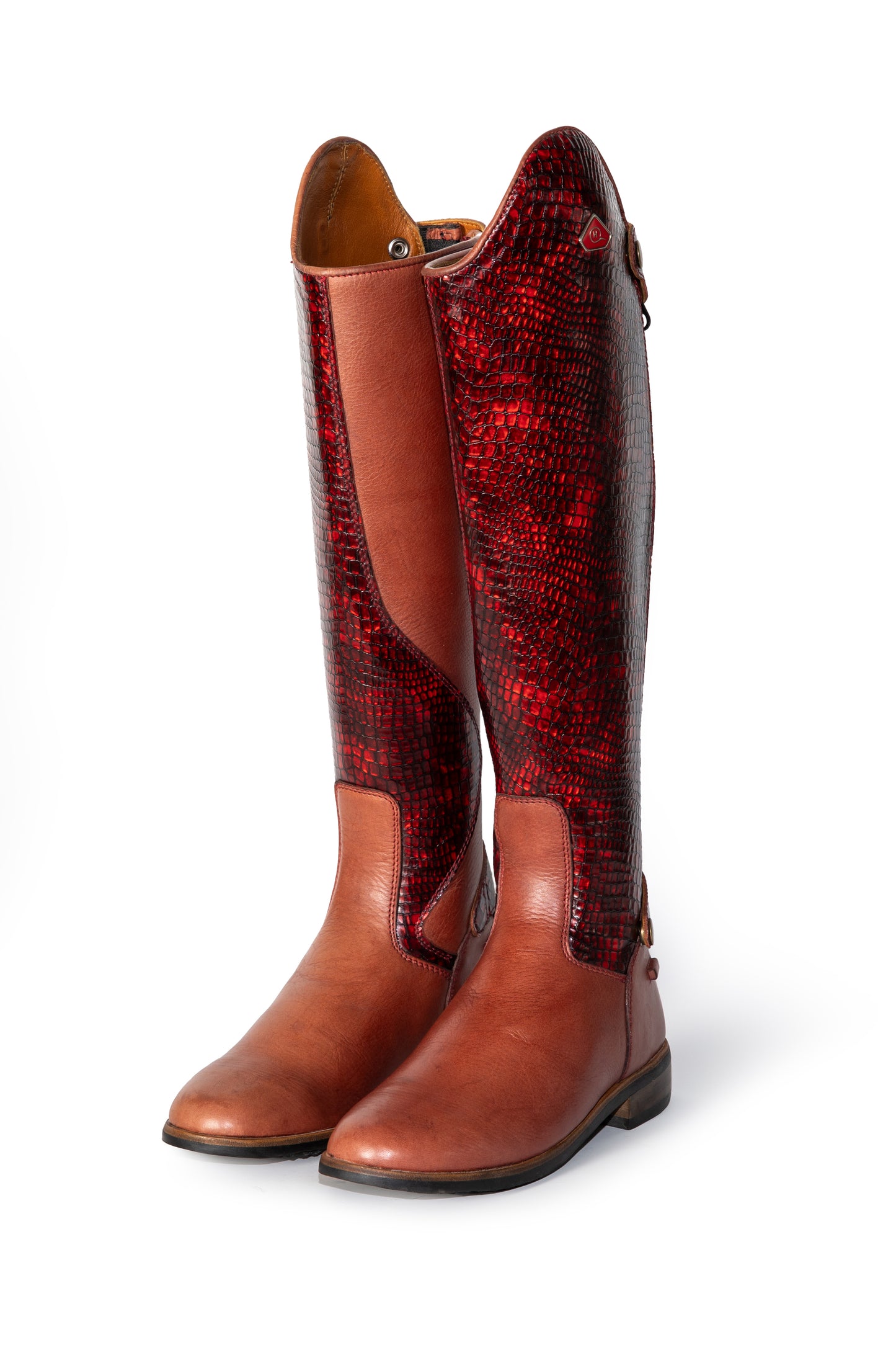 Tari Snake Print Long Riding Boots