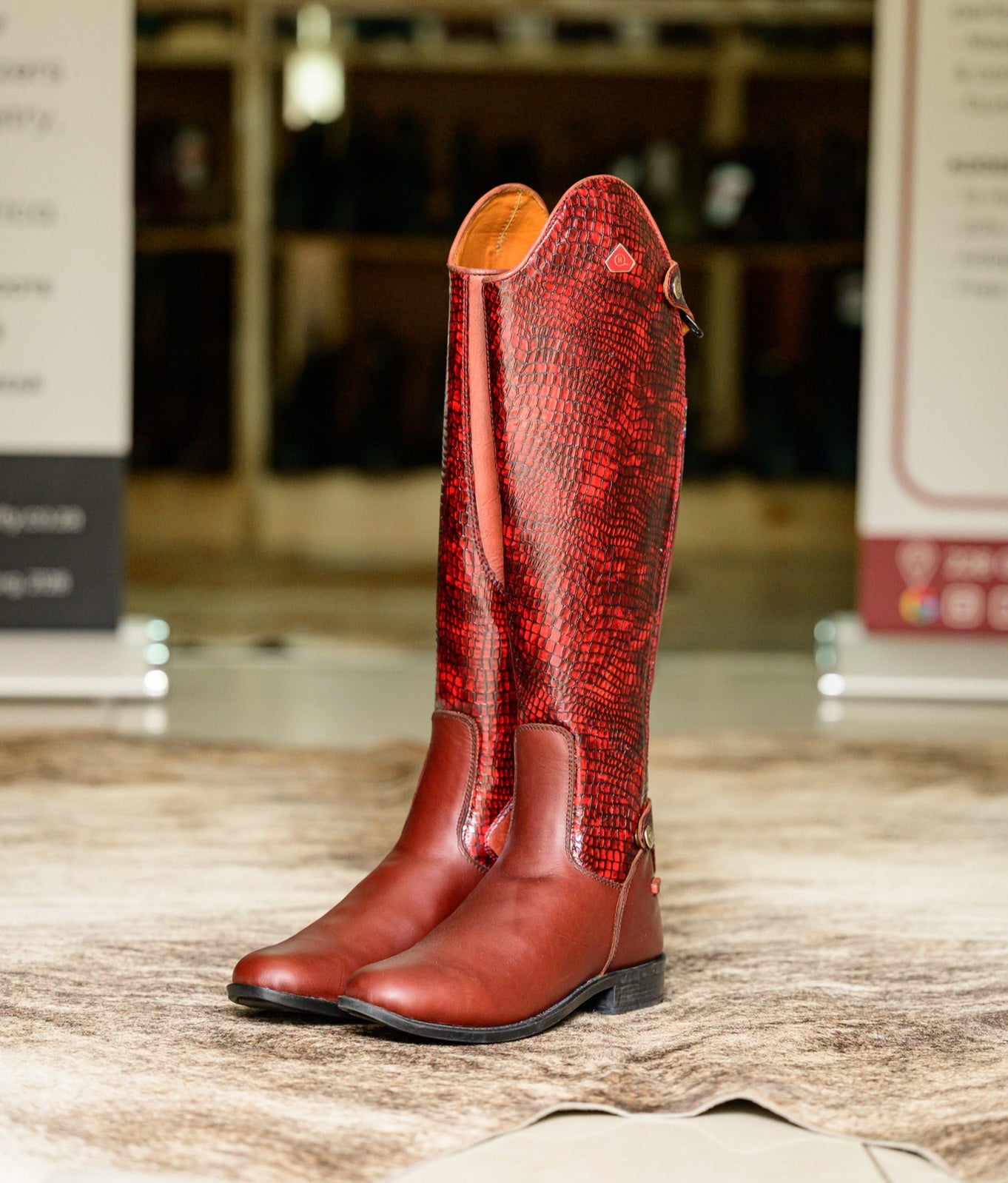 Tari Snake Print Long Riding Boots