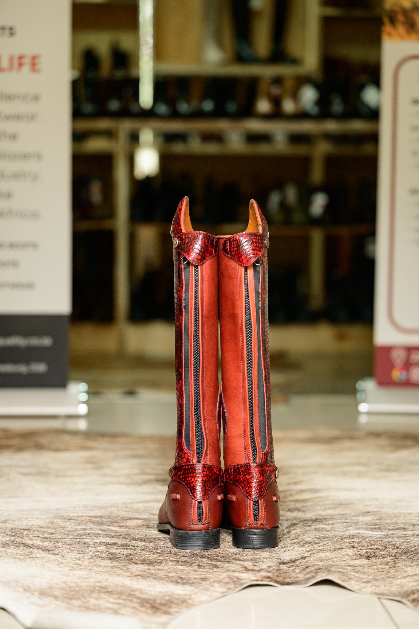 Tari Snake Print Long Riding Boots