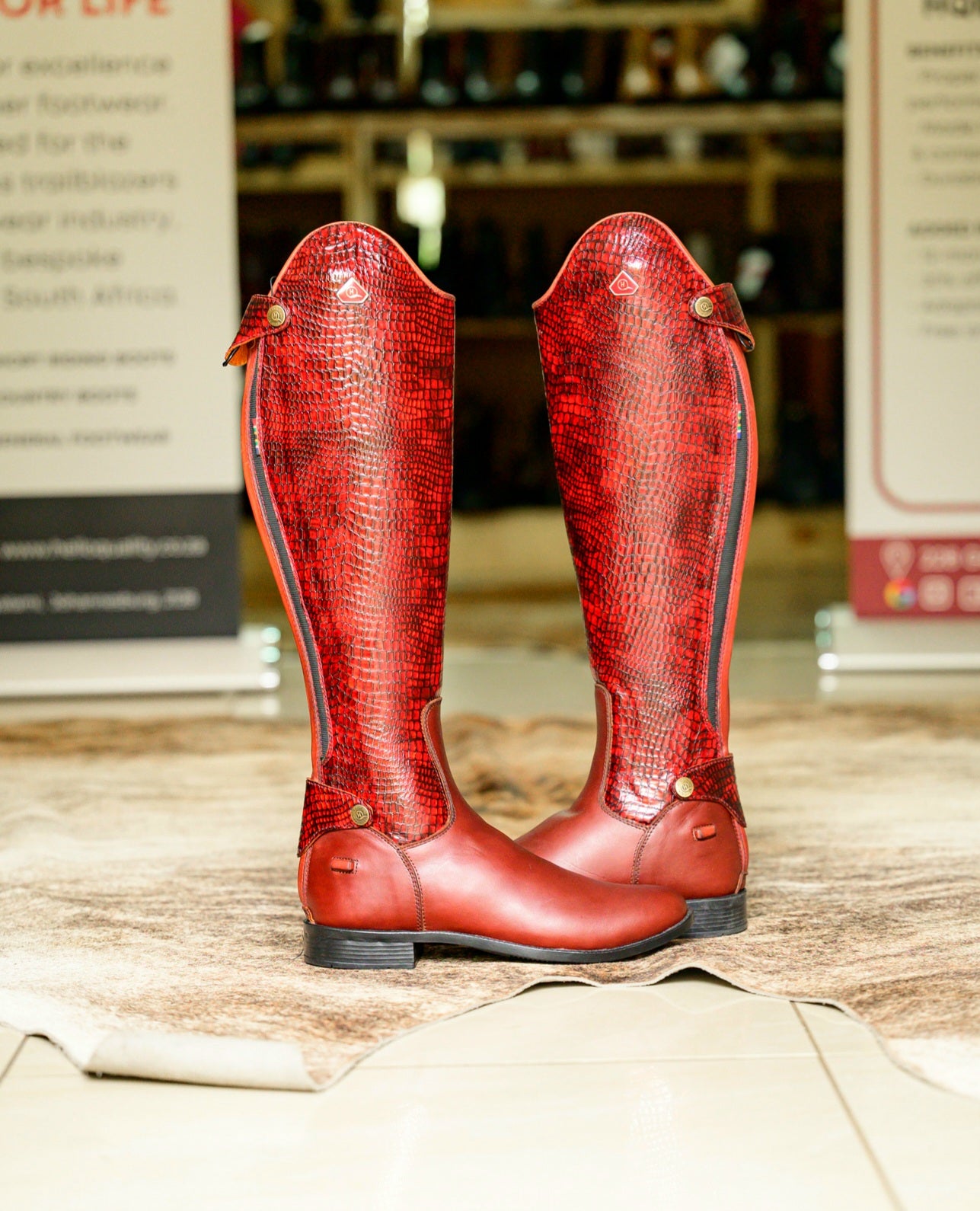 Tari Snake Print Long Riding Boots