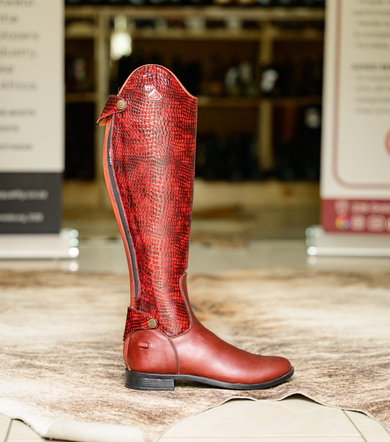 Tari Snake Print Long Riding Boots