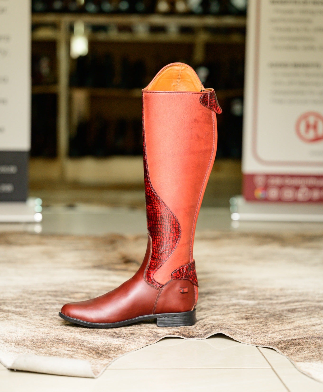 Tari Snake Print Long Riding Boots