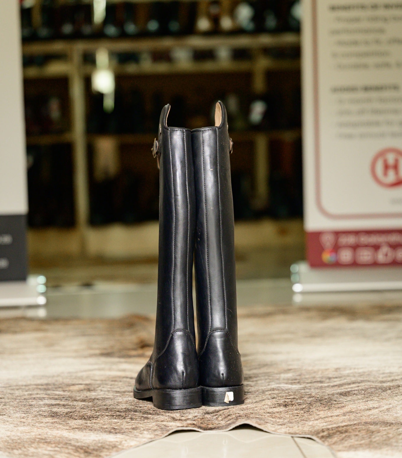 Jedda Demo Long Riding Boot