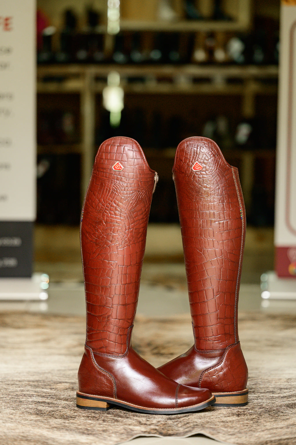 Danai Croc Demo Long boots