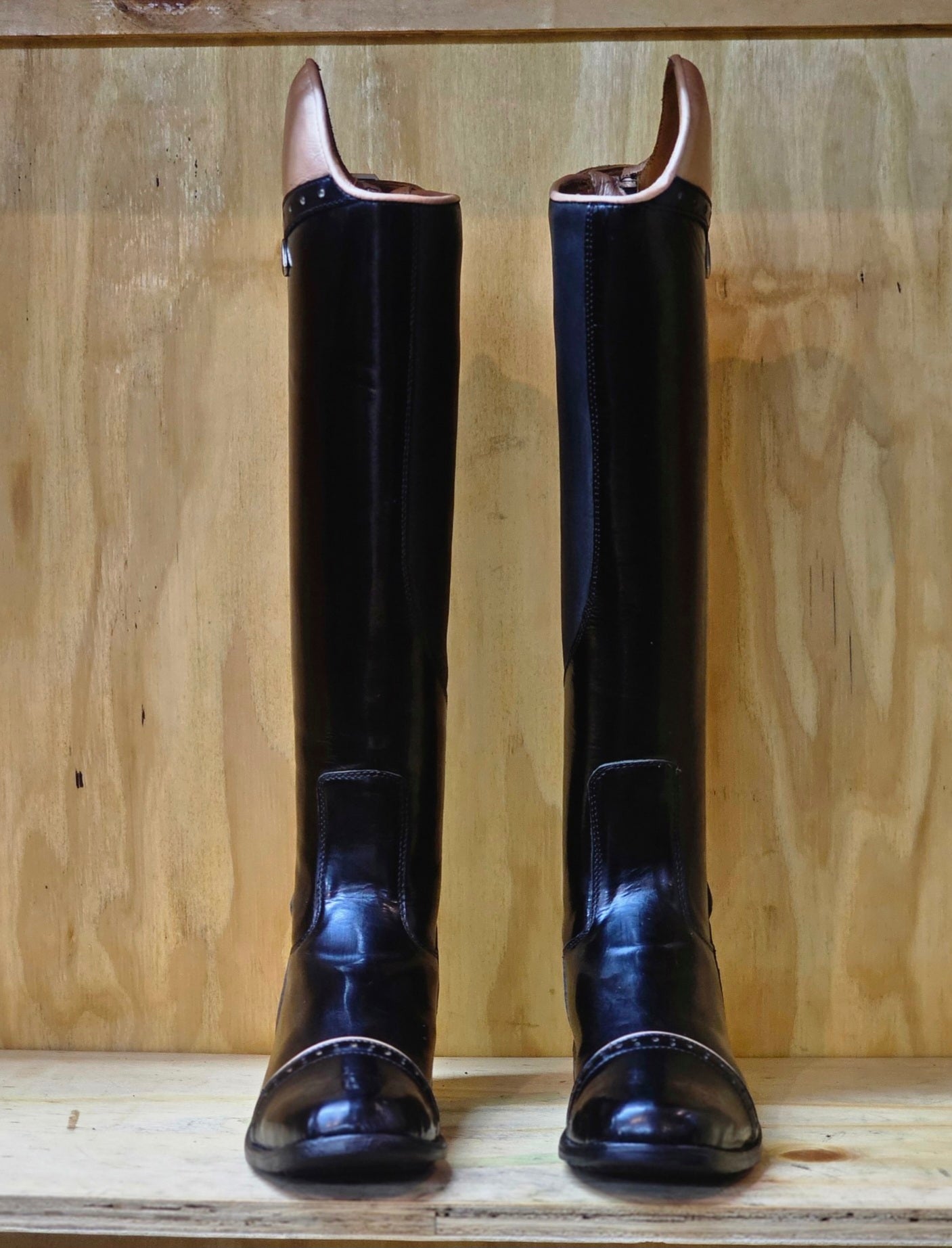 Tari Exclusive Long Riding Boot