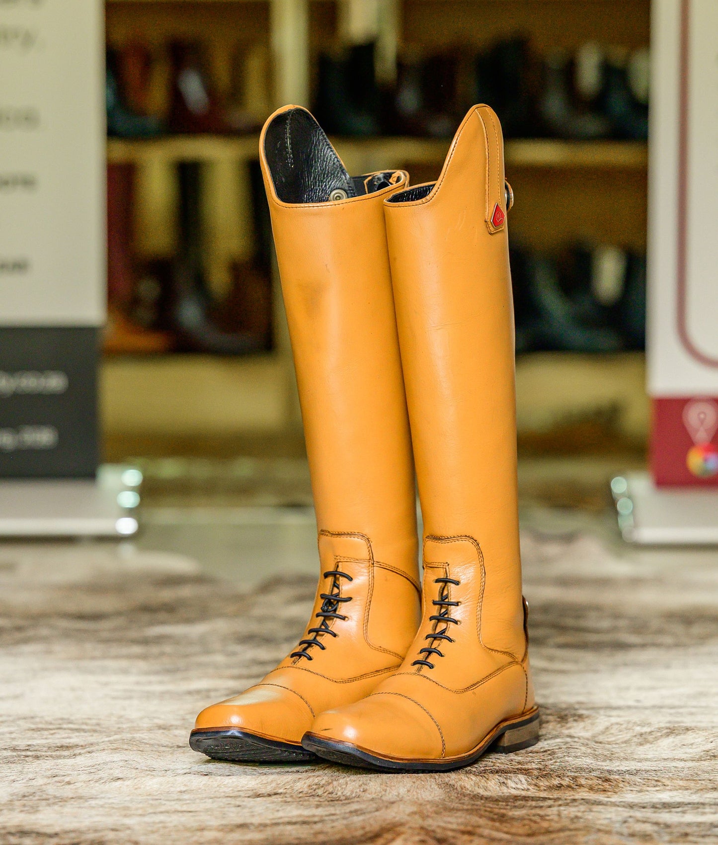 Bonolo Gen 2  Long Riding Boot