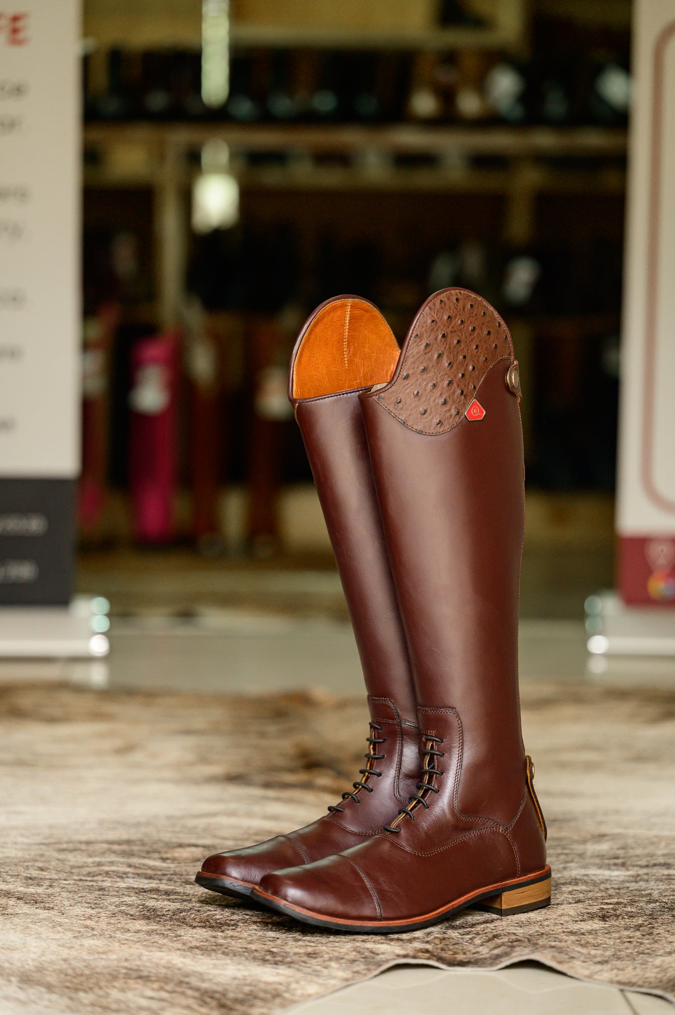 Bonolo Ostrich Curve Long Riding Boot