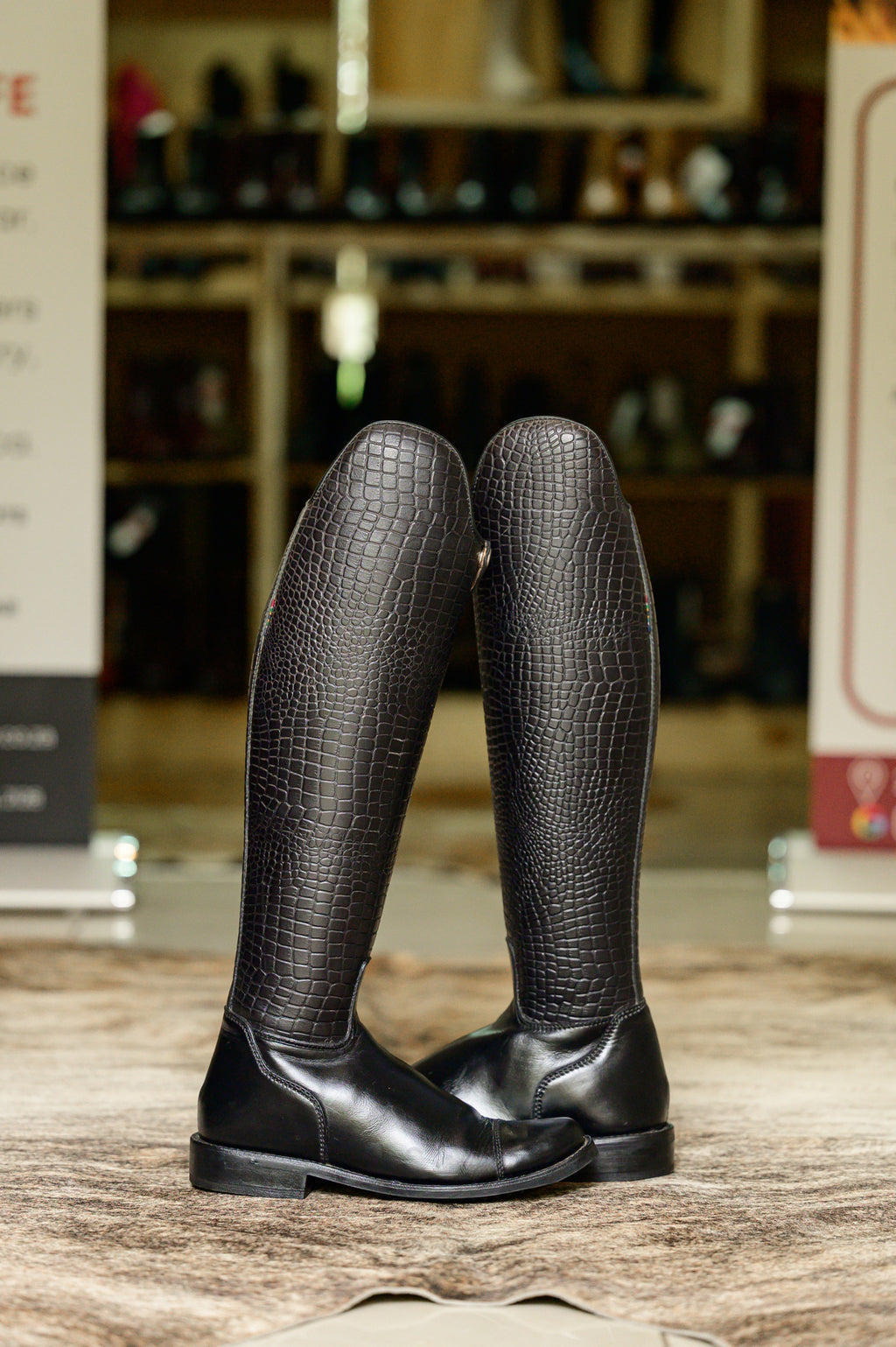 Danai Croc Demo Long Riding Boot
