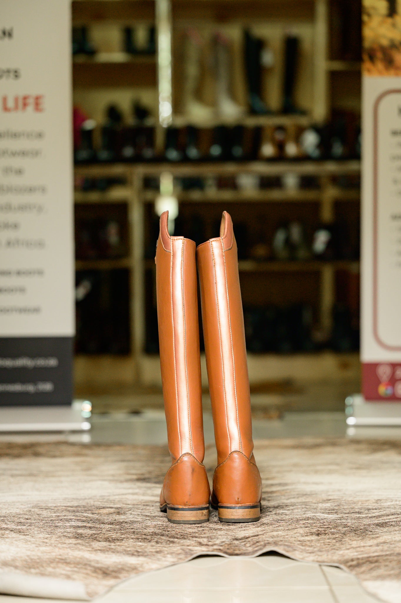 Jedda Long Riding Boots